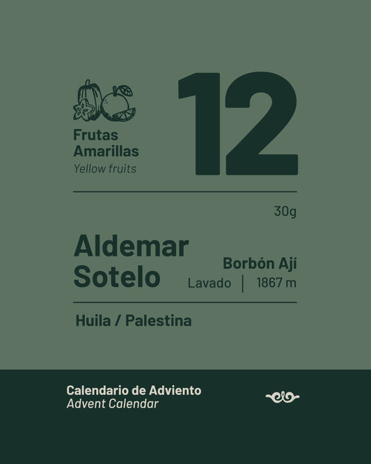 12 Aldemar Sotelo