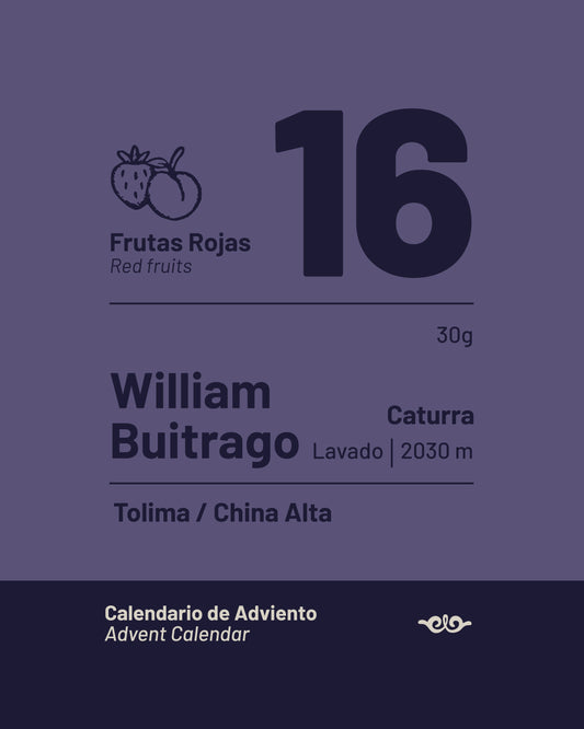 16 William Buitrago