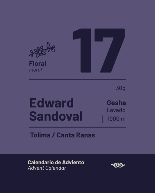 17 Edward Sandoval