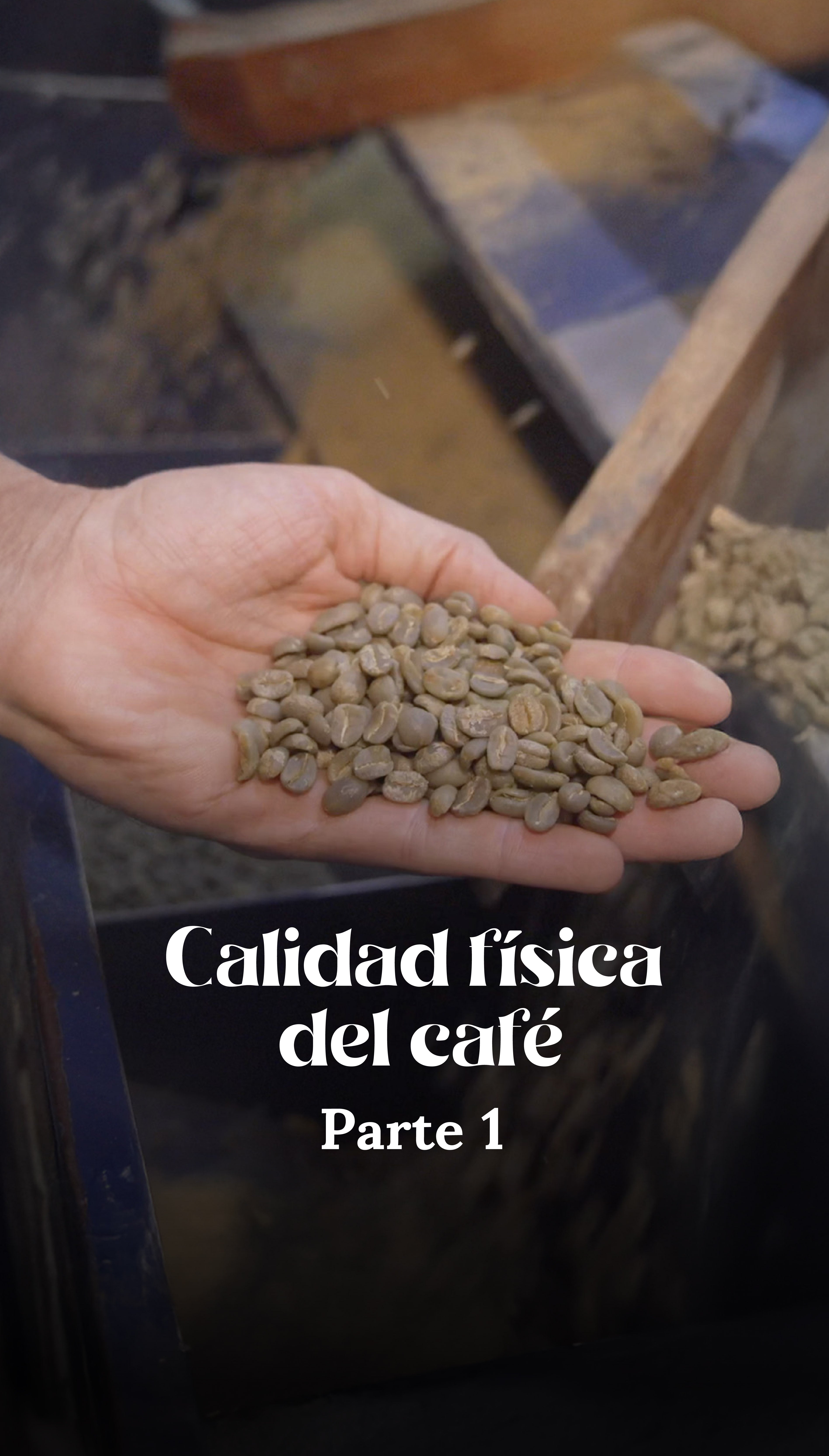 Calidad física del café parte 1