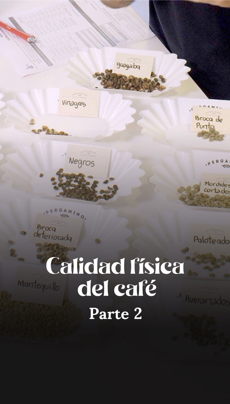 Calidad física del café parte 2