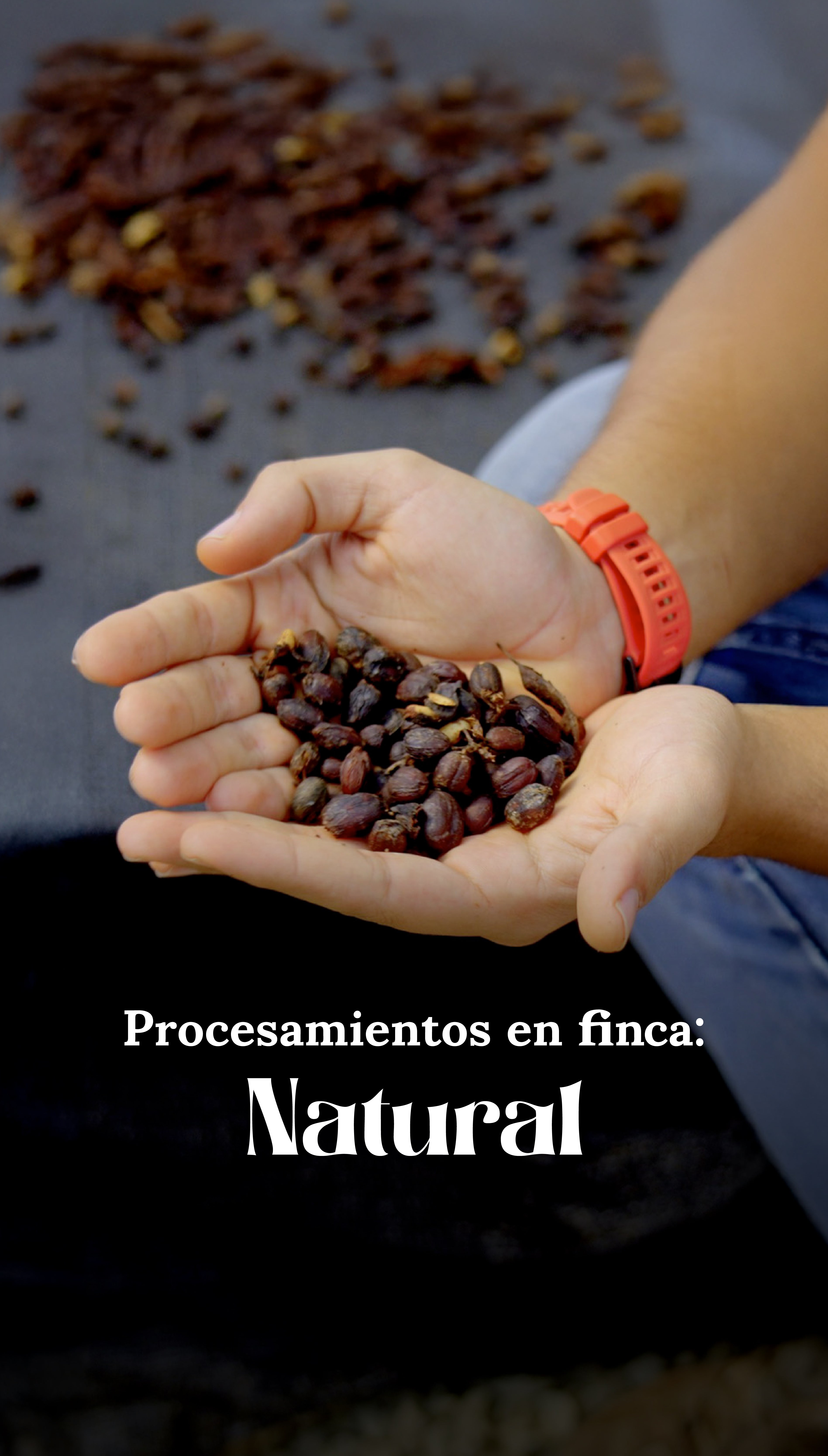 Procesamiento en finca: Natural