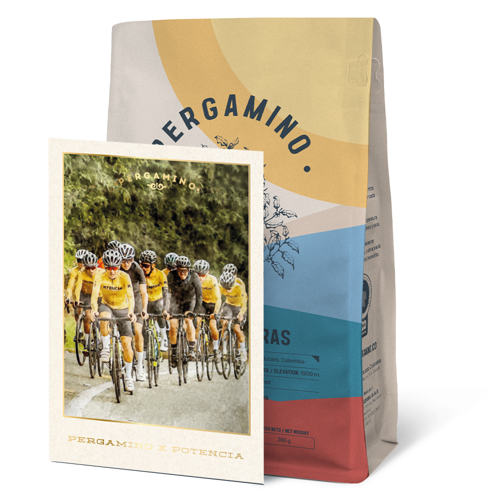 Alto de letras x Potencia