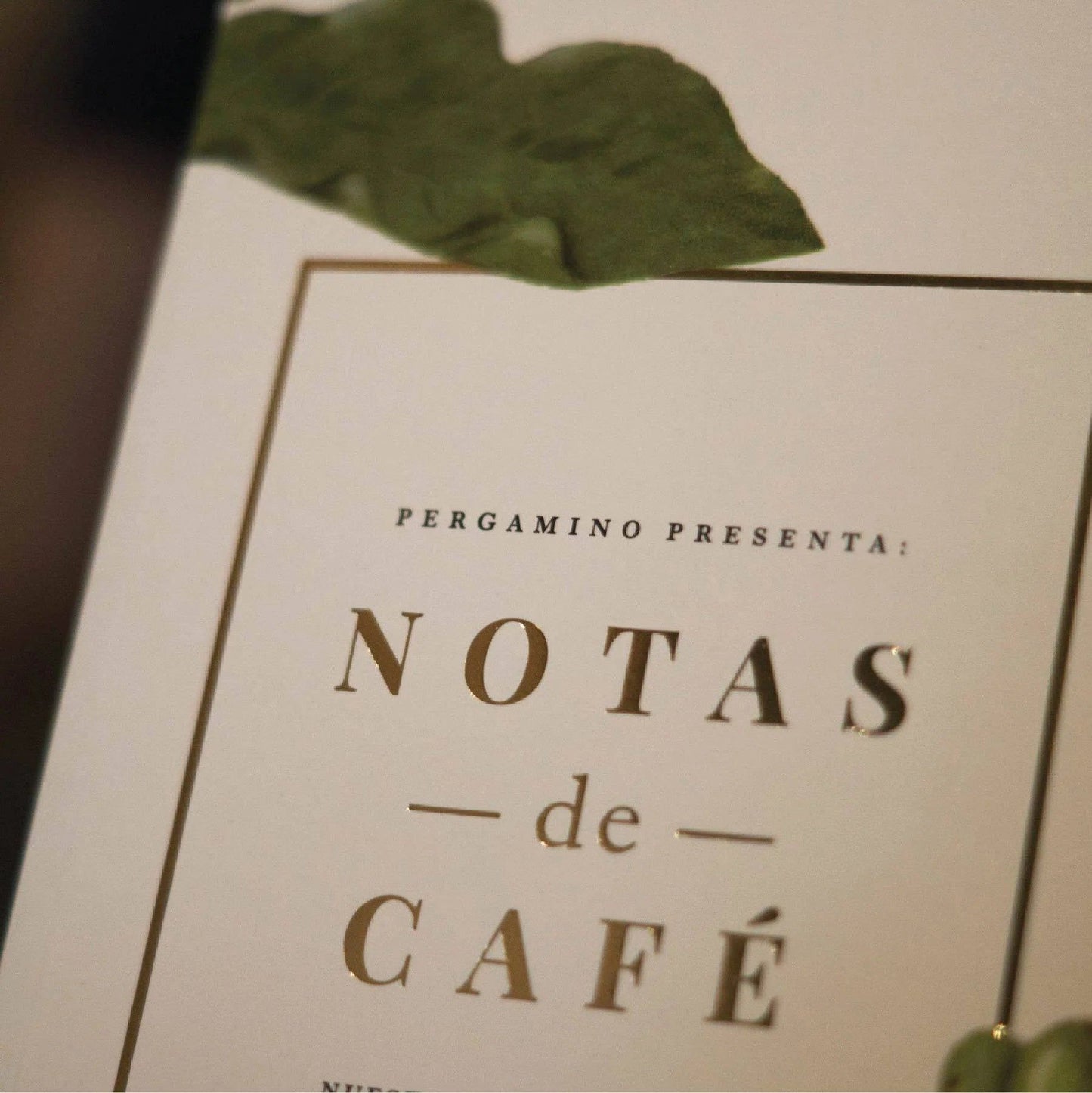 Librillo Notas de Café
