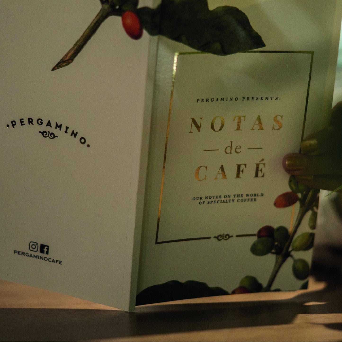 Librillo Notas de Café