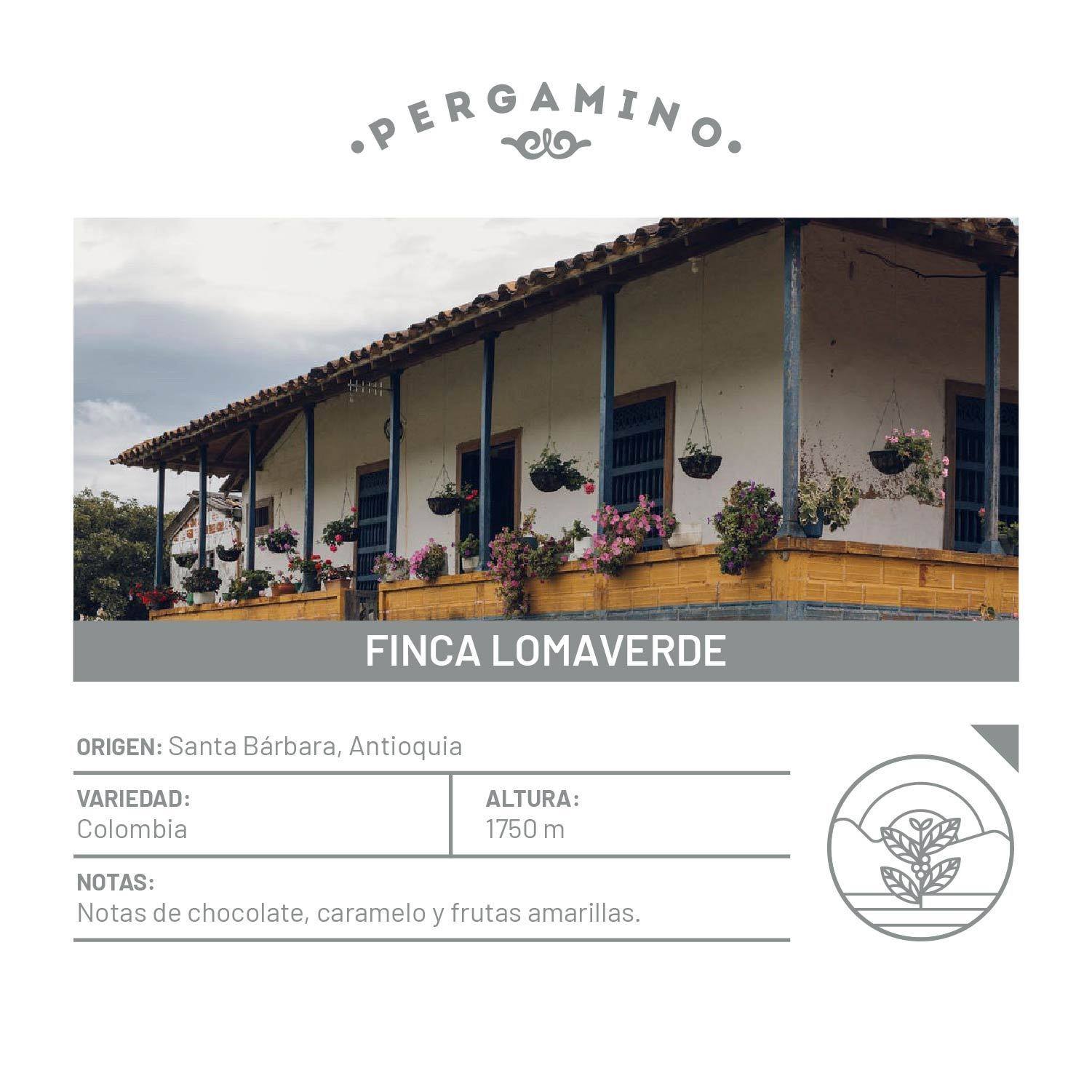 Finca Lomaverde x 5 Bolsas (360g) - PERGAMINO Colombia