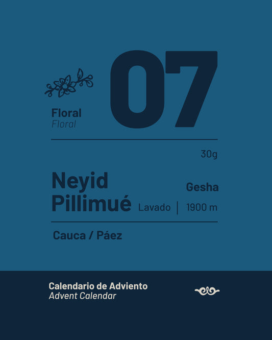 07 Neyid Pillimué