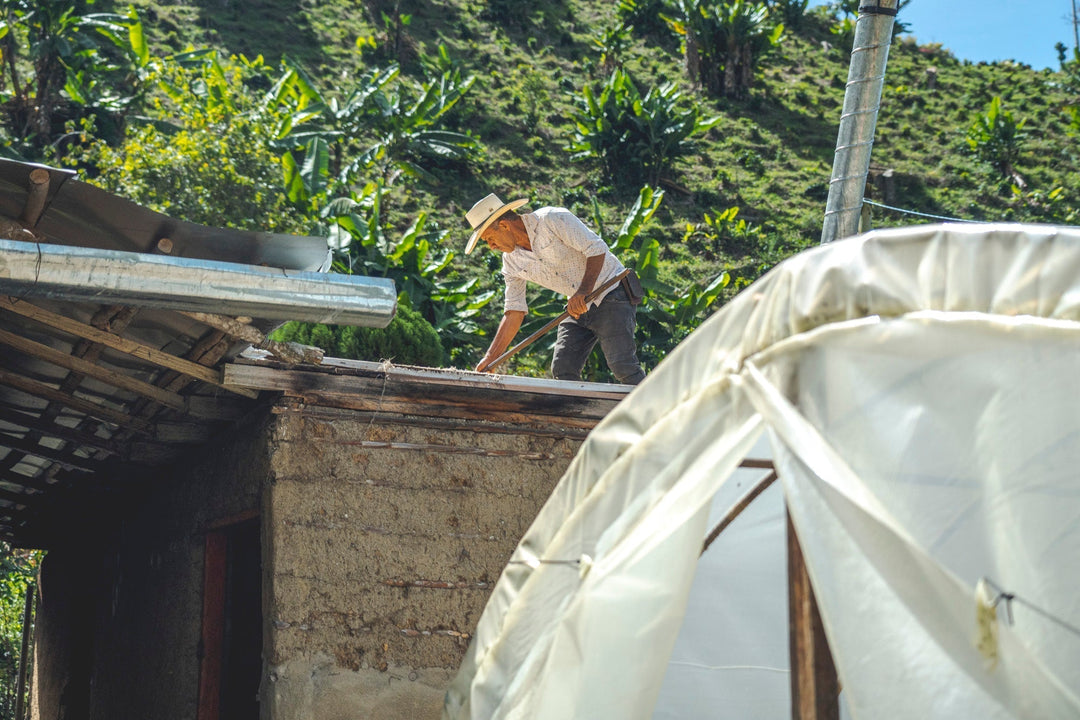 Productores aliados Pergamino