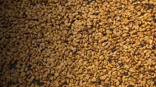 Proceso honey del café: qué es y cómo se hace