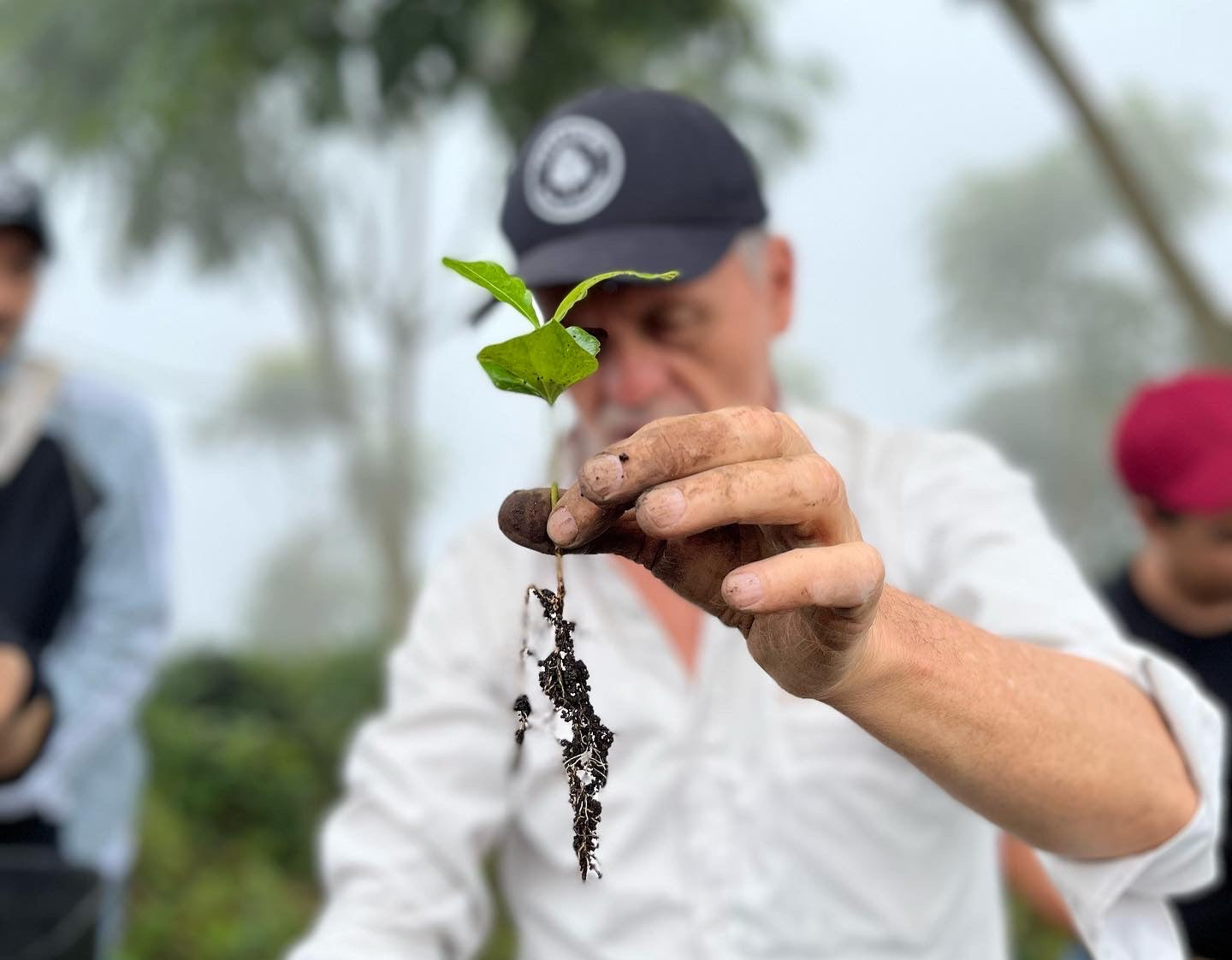 ¿Qué es un café especial? Esta es nuestra definición