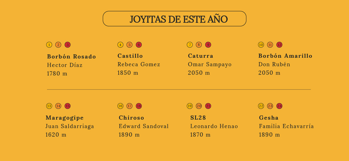 Un árbol de café puede expresarse de formas extraordinarias. Joyitas de este año.
